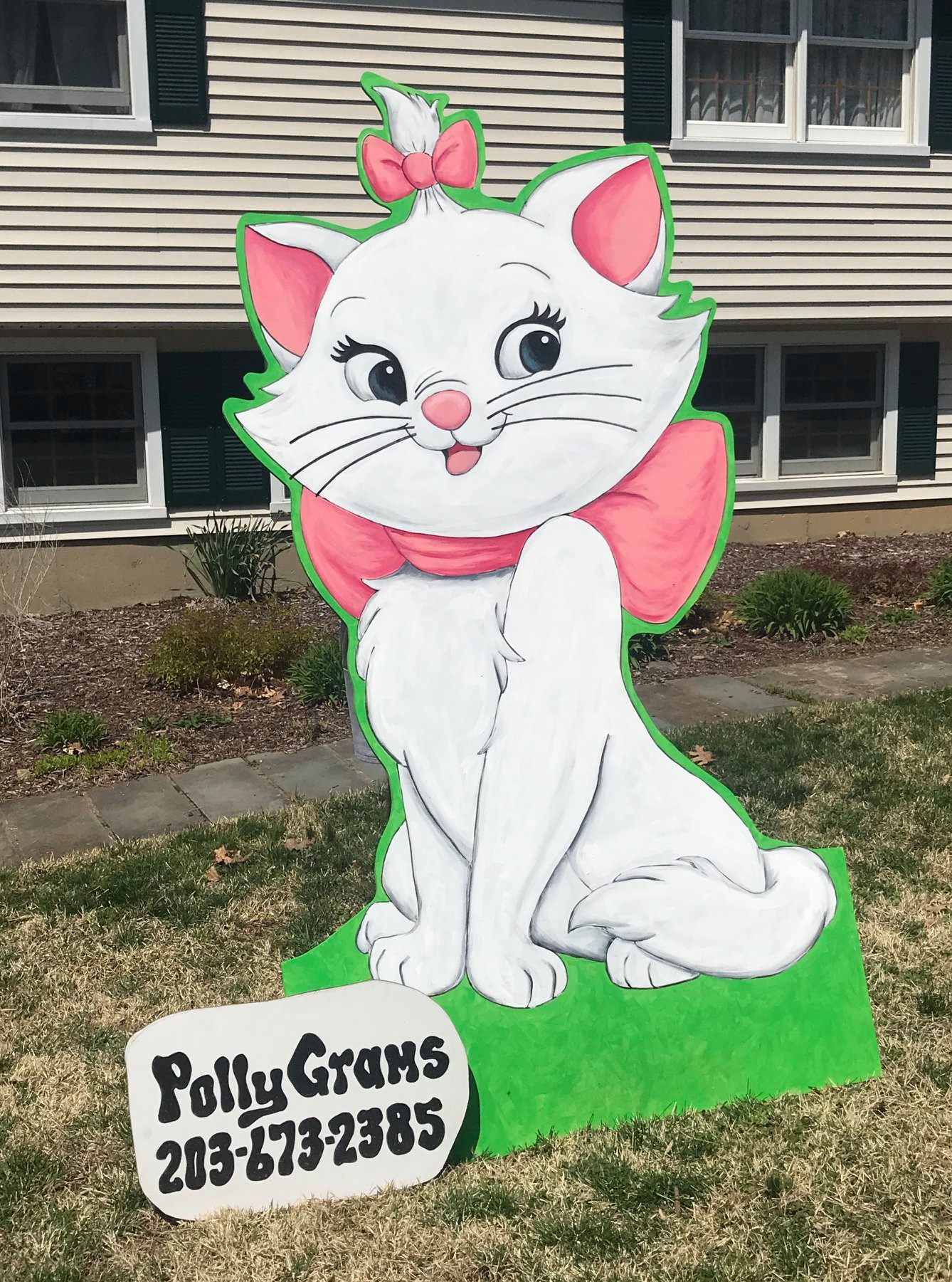 Kitten